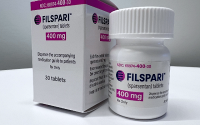 7类治疗免疫球蛋白A(IgA)肾病的药物